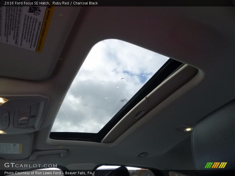 Ruby Red / Charcoal Black 2016 Ford Focus SE Hatch