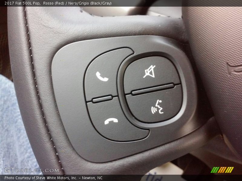 Controls of 2017 500L Pop