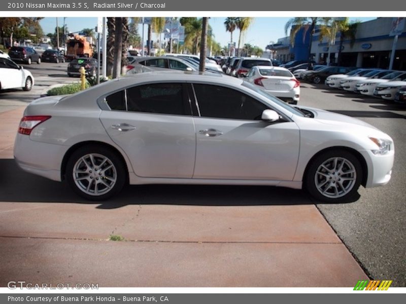 Radiant Silver / Charcoal 2010 Nissan Maxima 3.5 S