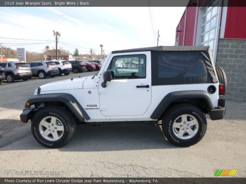 Bright White / Black 2016 Jeep Wrangler Sport