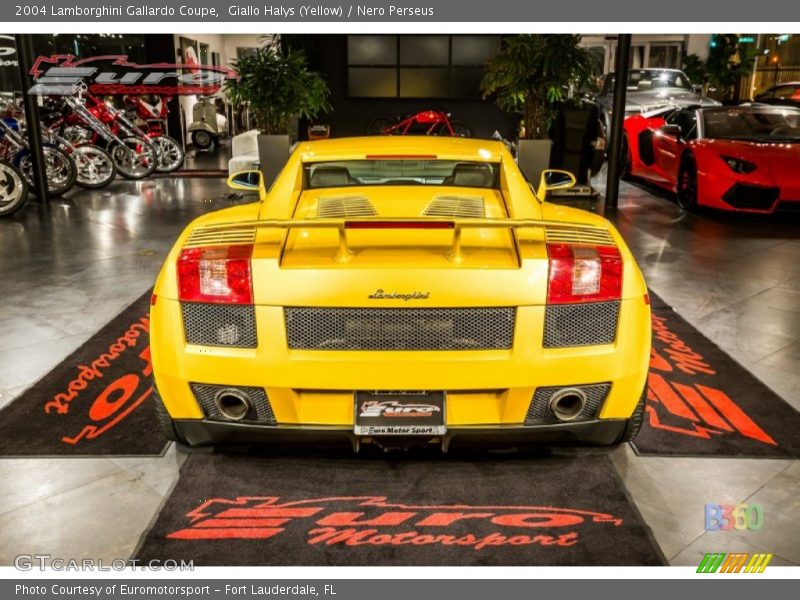 Giallo Halys (Yellow) / Nero Perseus 2004 Lamborghini Gallardo Coupe