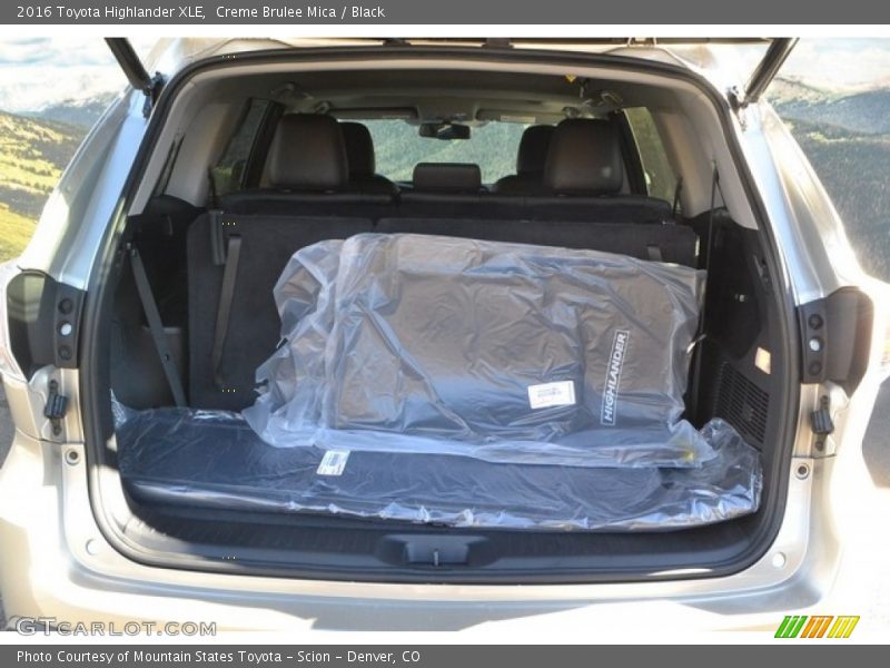 Creme Brulee Mica / Black 2016 Toyota Highlander XLE