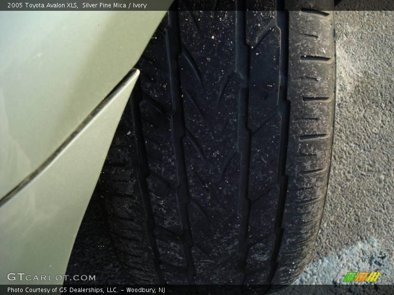 Silver Pine Mica / Ivory 2005 Toyota Avalon XLS