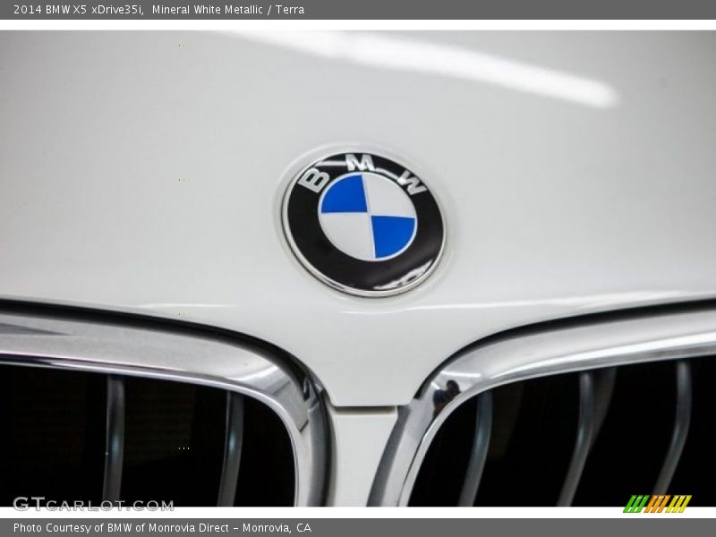 Mineral White Metallic / Terra 2014 BMW X5 xDrive35i