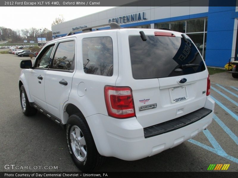 Oxford White / Camel 2012 Ford Escape XLT V6 4WD