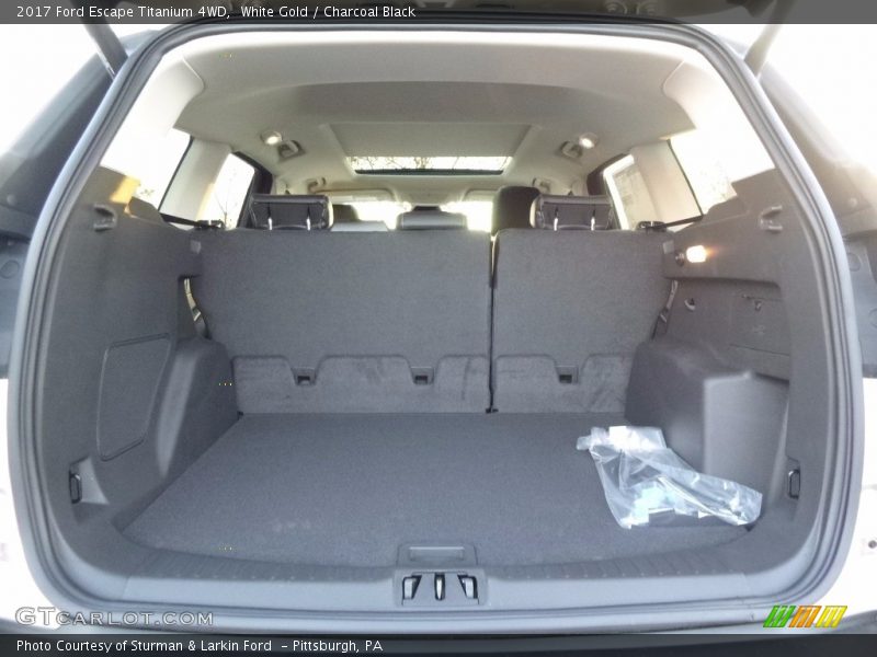 White Gold / Charcoal Black 2017 Ford Escape Titanium 4WD