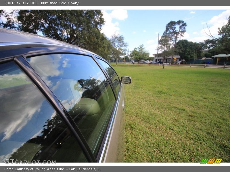 Burnished Gold / Ivory 2001 Lexus GS 300