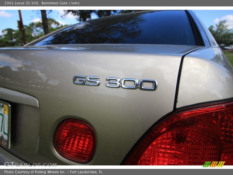 Burnished Gold / Ivory 2001 Lexus GS 300