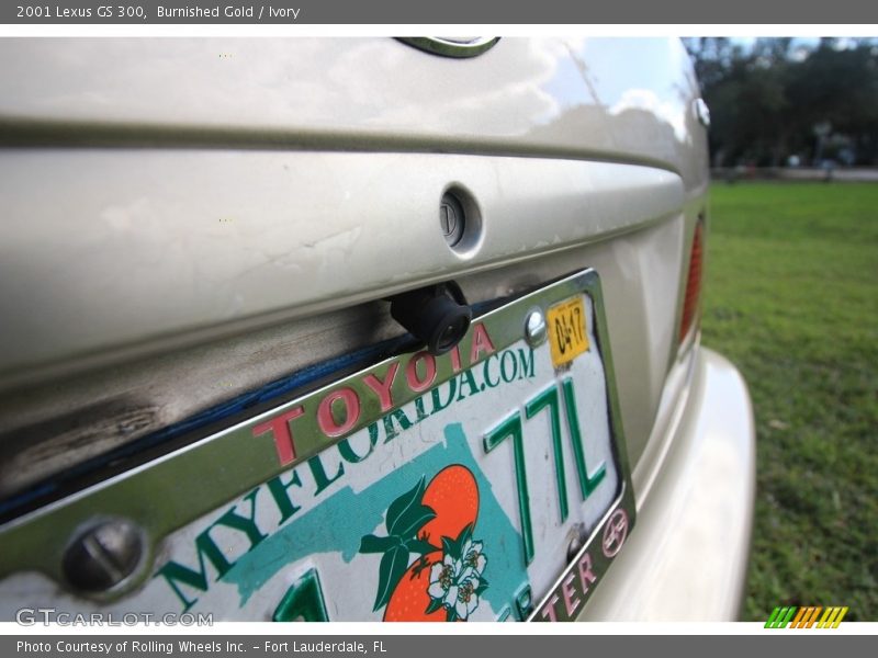 Burnished Gold / Ivory 2001 Lexus GS 300