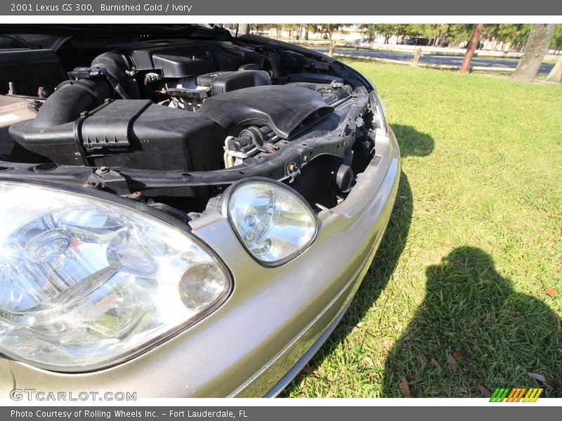 Burnished Gold / Ivory 2001 Lexus GS 300