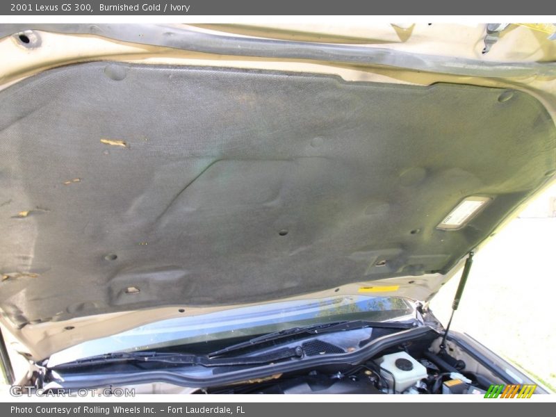 Burnished Gold / Ivory 2001 Lexus GS 300
