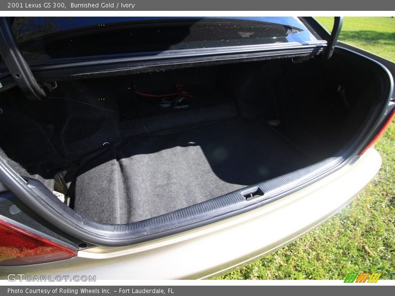 Burnished Gold / Ivory 2001 Lexus GS 300