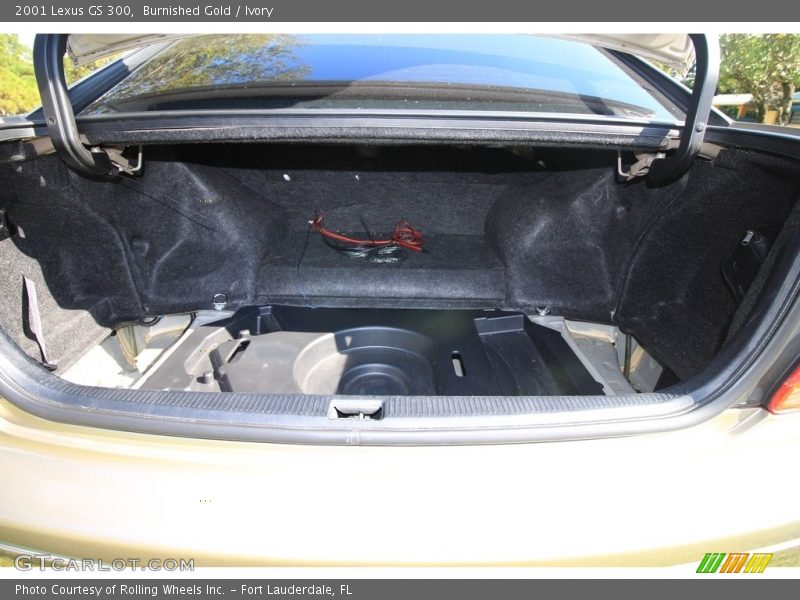 Burnished Gold / Ivory 2001 Lexus GS 300
