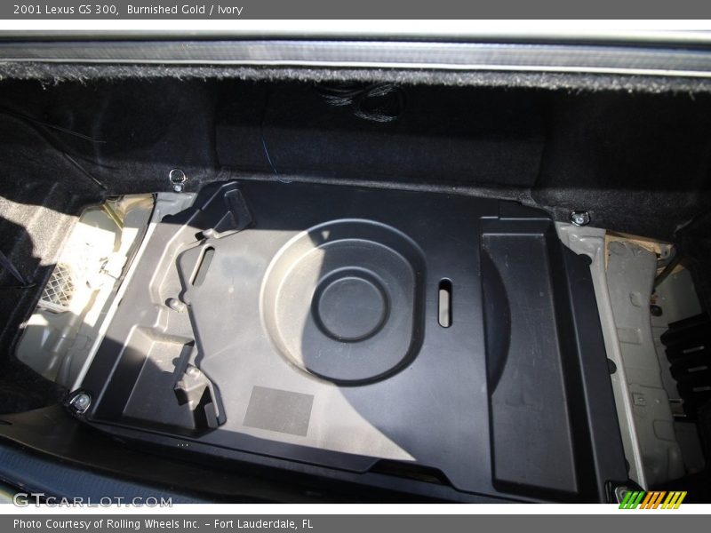 Burnished Gold / Ivory 2001 Lexus GS 300