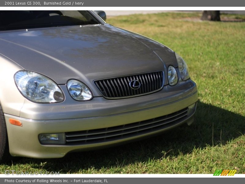 Burnished Gold / Ivory 2001 Lexus GS 300