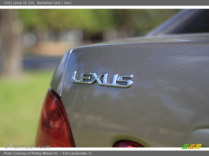 Burnished Gold / Ivory 2001 Lexus GS 300