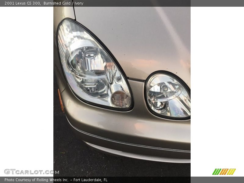 Burnished Gold / Ivory 2001 Lexus GS 300