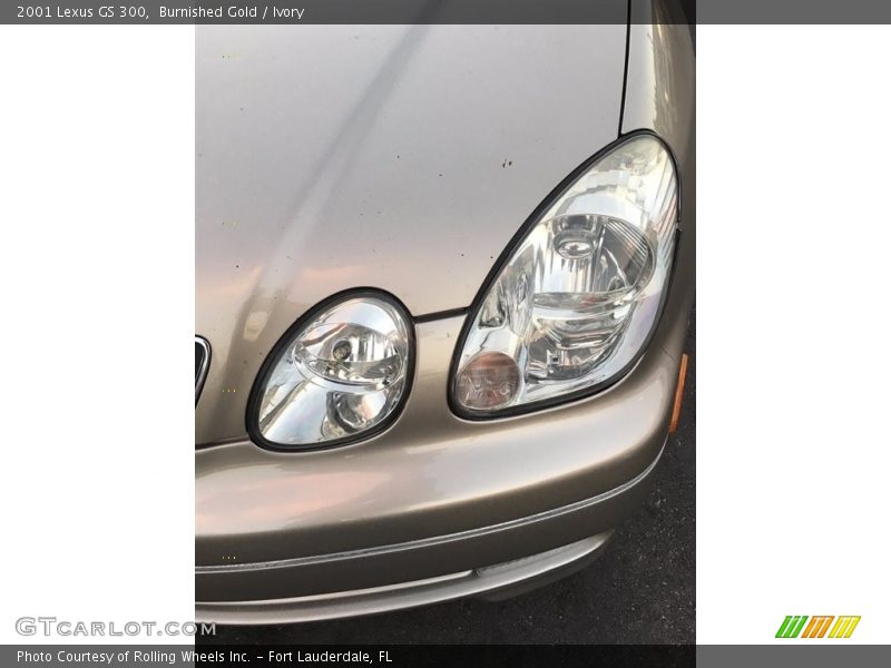 Burnished Gold / Ivory 2001 Lexus GS 300
