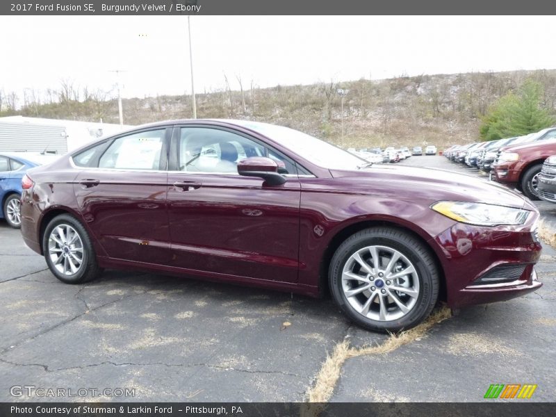 Burgundy Velvet / Ebony 2017 Ford Fusion SE