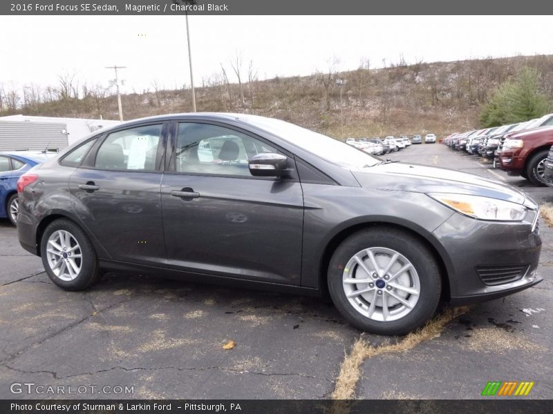 Magnetic / Charcoal Black 2016 Ford Focus SE Sedan