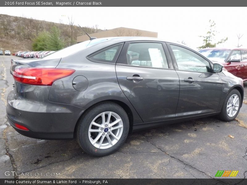 Magnetic / Charcoal Black 2016 Ford Focus SE Sedan