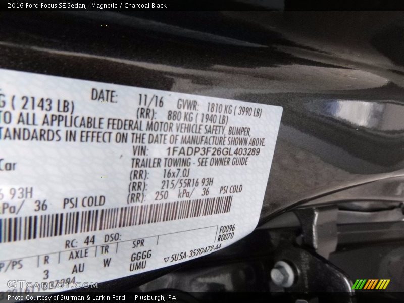 Magnetic / Charcoal Black 2016 Ford Focus SE Sedan