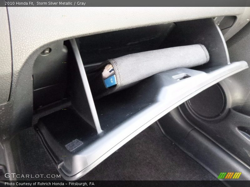 Storm Silver Metallic / Gray 2010 Honda Fit