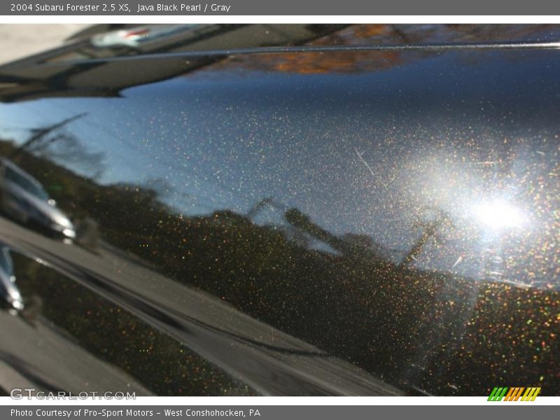 Java Black Pearl / Gray 2004 Subaru Forester 2.5 XS