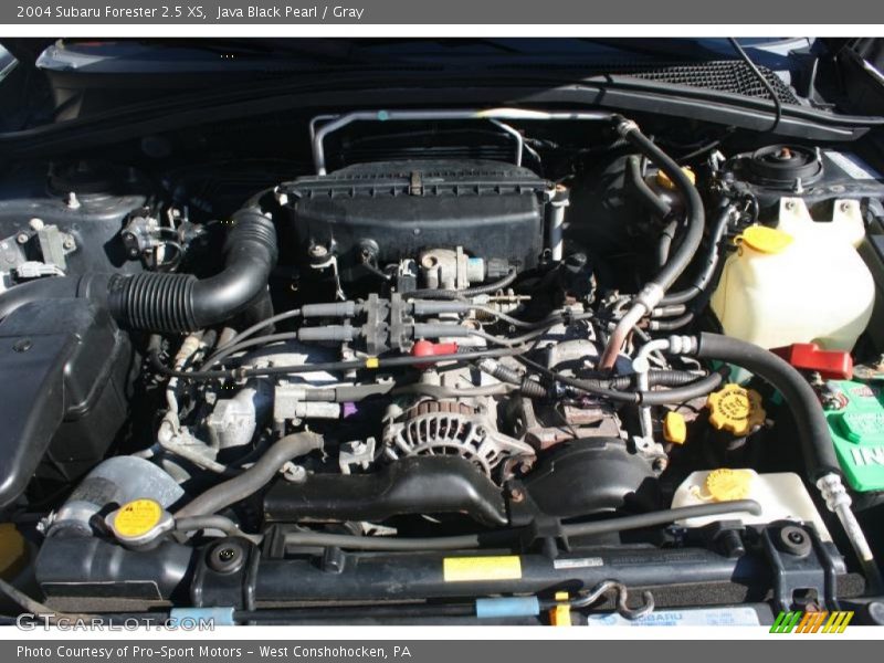 Java Black Pearl / Gray 2004 Subaru Forester 2.5 XS