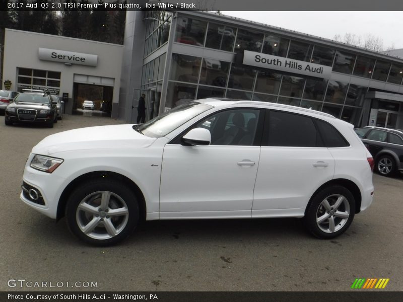 Ibis White / Black 2017 Audi Q5 2.0 TFSI Premium Plus quattro