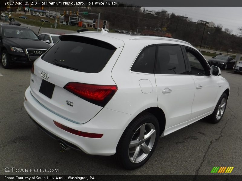 Ibis White / Black 2017 Audi Q5 2.0 TFSI Premium Plus quattro