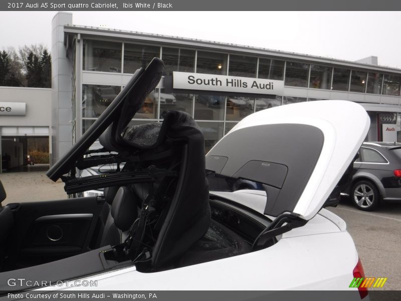 Ibis White / Black 2017 Audi A5 Sport quattro Cabriolet