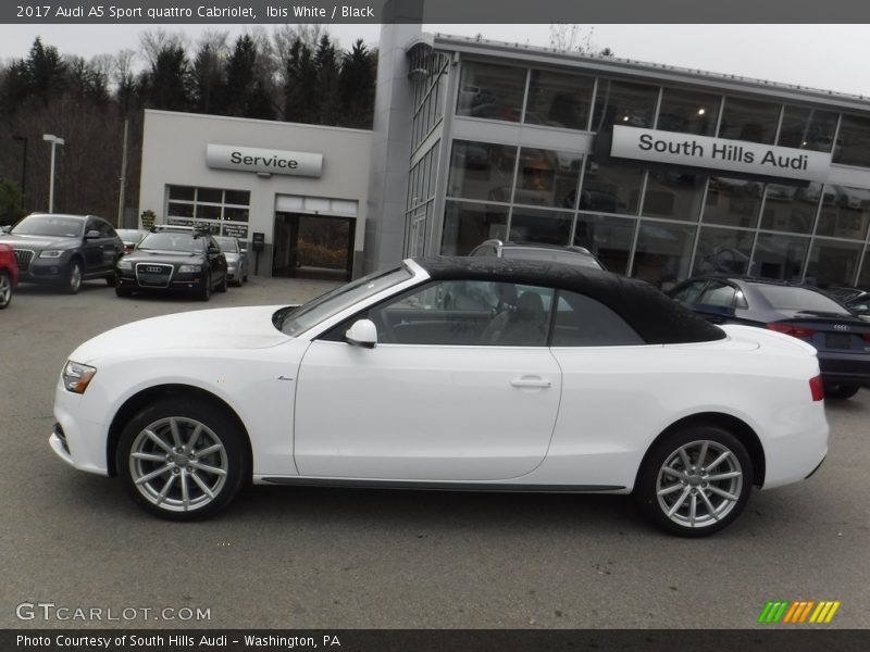 Ibis White / Black 2017 Audi A5 Sport quattro Cabriolet