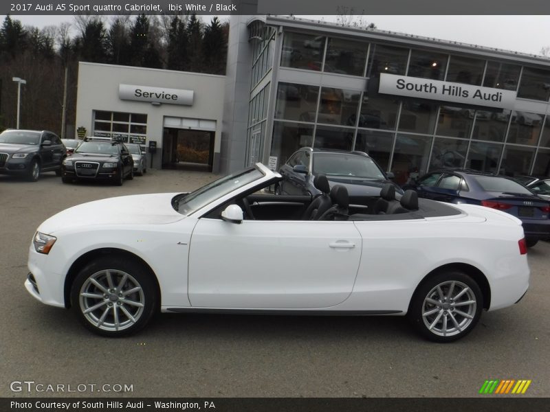 Ibis White / Black 2017 Audi A5 Sport quattro Cabriolet