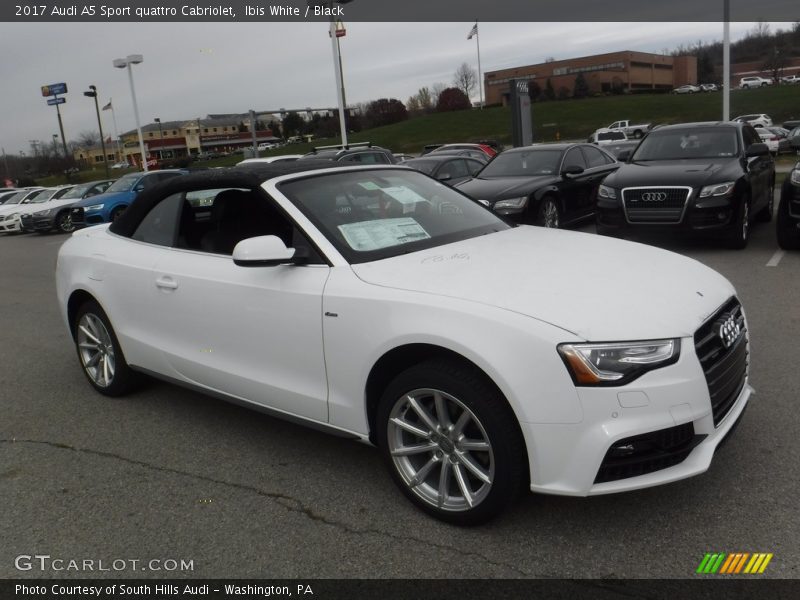  2017 A5 Sport quattro Cabriolet Ibis White