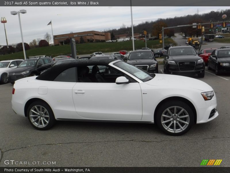  2017 A5 Sport quattro Cabriolet Ibis White