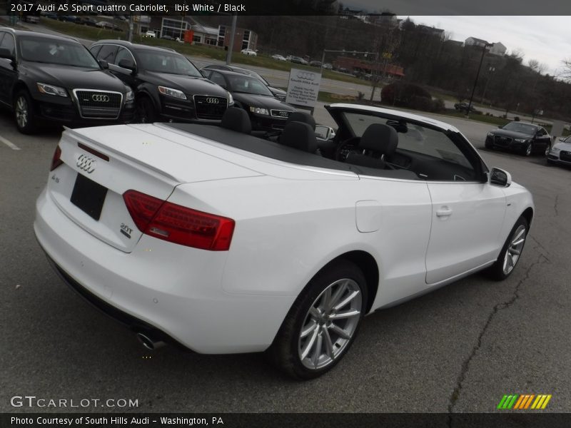 Ibis White / Black 2017 Audi A5 Sport quattro Cabriolet