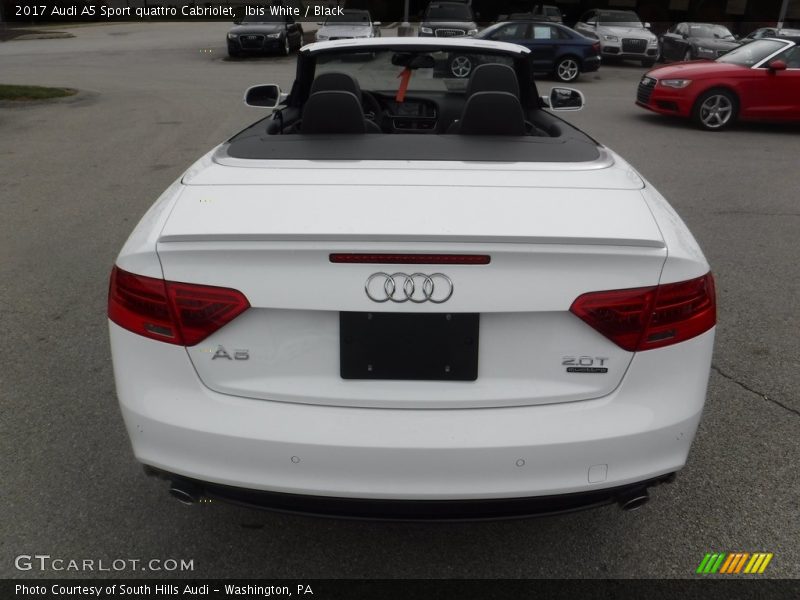 Ibis White / Black 2017 Audi A5 Sport quattro Cabriolet