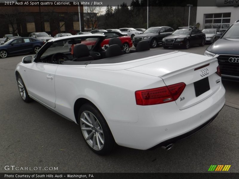 Ibis White / Black 2017 Audi A5 Sport quattro Cabriolet