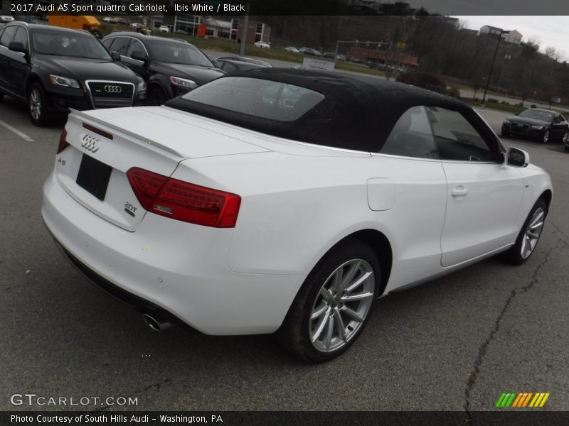 Ibis White / Black 2017 Audi A5 Sport quattro Cabriolet