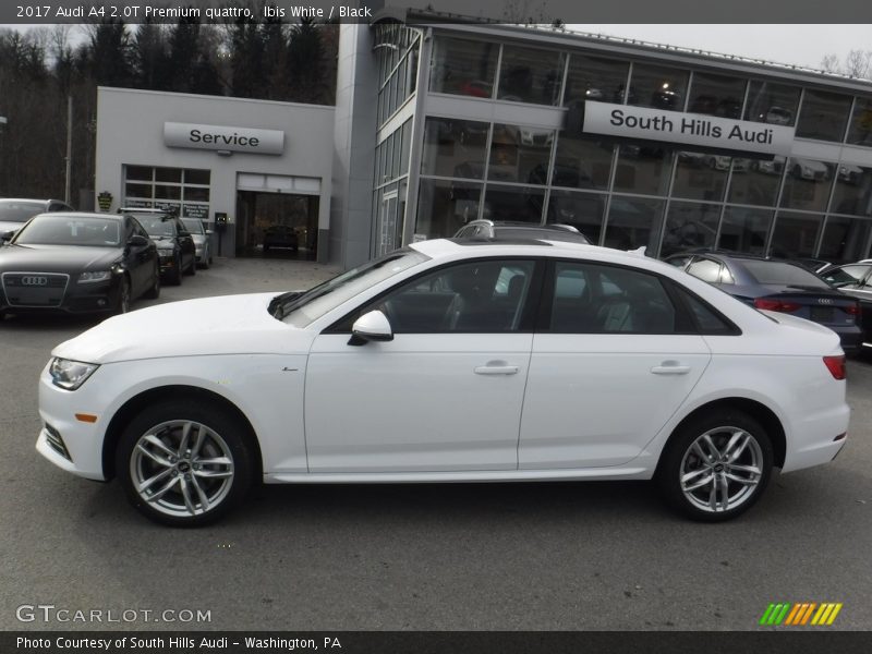 Ibis White / Black 2017 Audi A4 2.0T Premium quattro