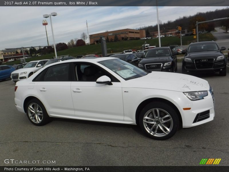  2017 A4 2.0T Premium quattro Ibis White