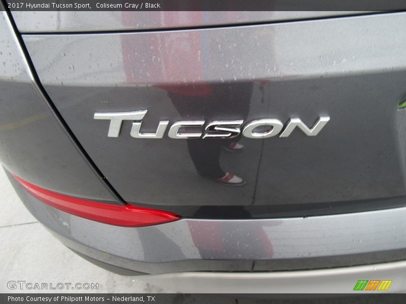Coliseum Gray / Black 2017 Hyundai Tucson Sport