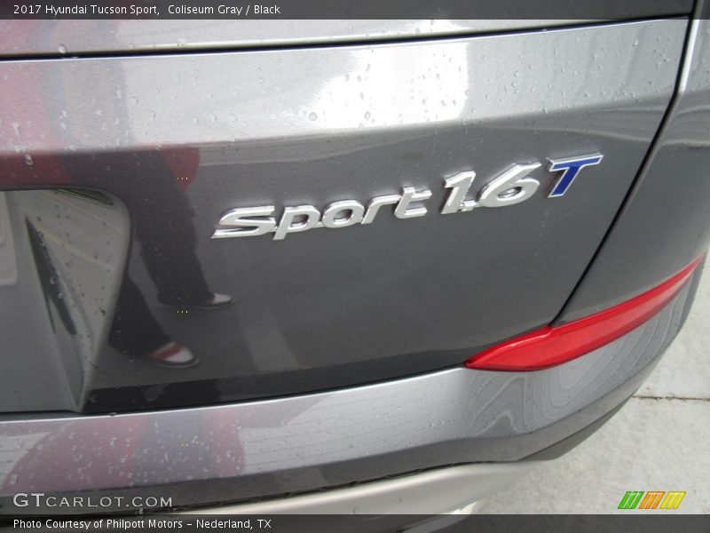 Coliseum Gray / Black 2017 Hyundai Tucson Sport