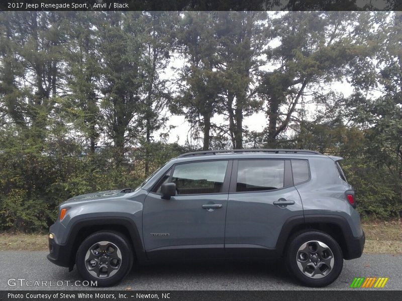  2017 Renegade Sport Anvil