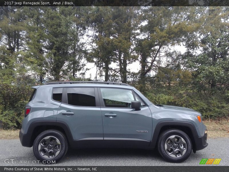  2017 Renegade Sport Anvil