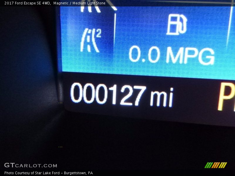 Magnetic / Medium Light Stone 2017 Ford Escape SE 4WD
