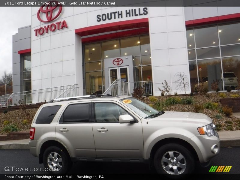 Gold Leaf Metallic / Camel 2011 Ford Escape Limited V6 4WD