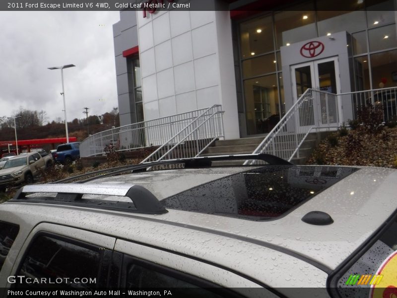 Gold Leaf Metallic / Camel 2011 Ford Escape Limited V6 4WD