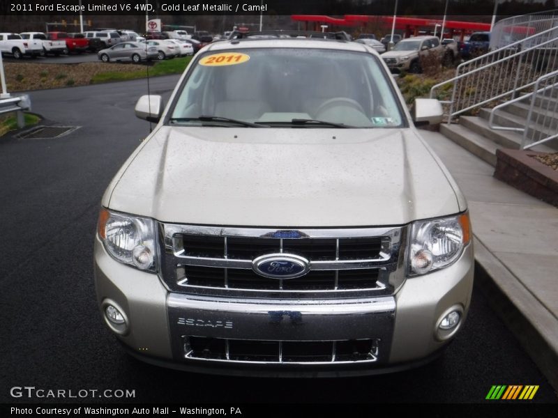Gold Leaf Metallic / Camel 2011 Ford Escape Limited V6 4WD